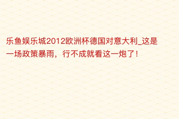 乐鱼娱乐城2012欧洲杯德国对意大利_这是一场政策暴雨，行不成就看这一炮了！