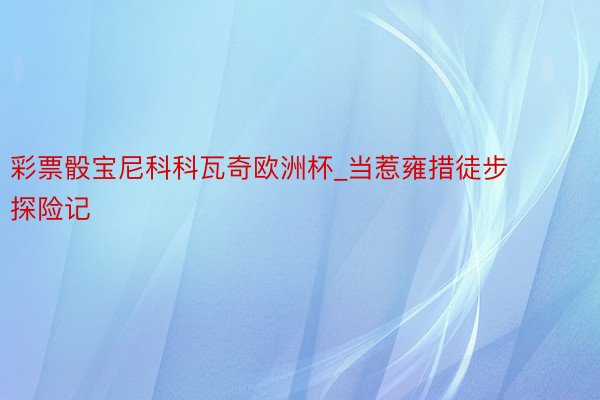 彩票骰宝尼科科瓦奇欧洲杯_当惹雍措徒步探险记