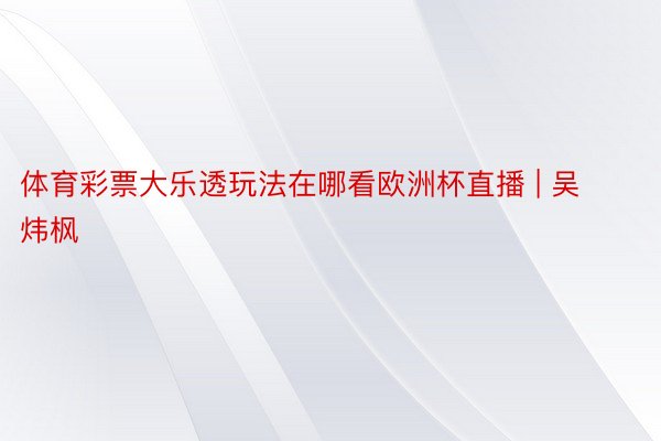 体育彩票大乐透玩法在哪看欧洲杯直播 | 吴炜枫
