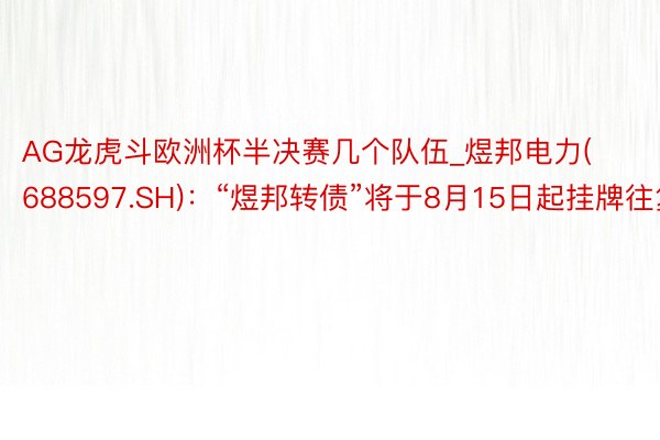 AG龙虎斗欧洲杯半决赛几个队伍_煜邦电力(688597.SH)：“煜邦转债”将于8月15日起挂牌往复